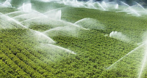 Irrigation and Water Management